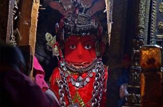 सहकालका देवता रातो मच्छिन्द्रनाथलाई मङ्सिर २४ गते पाटन ल्याइने