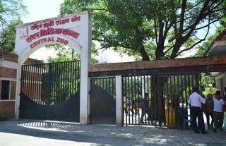 ८ महिनापछि खुल्यो सदर चिडियाखाना