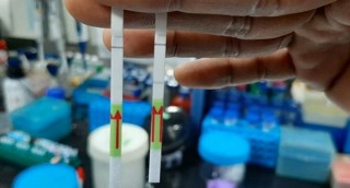 पुसभित्र तीन लाखको ‘एन्टिजेन’ विधिमार्फत कोरोना परीक्षण  गरिने