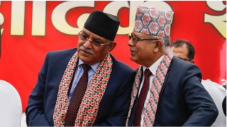 निर्वाचन आयोगद्वारा प्रचण्ड र माधव नेपालको आग्रह ठाडै अस्वीकार