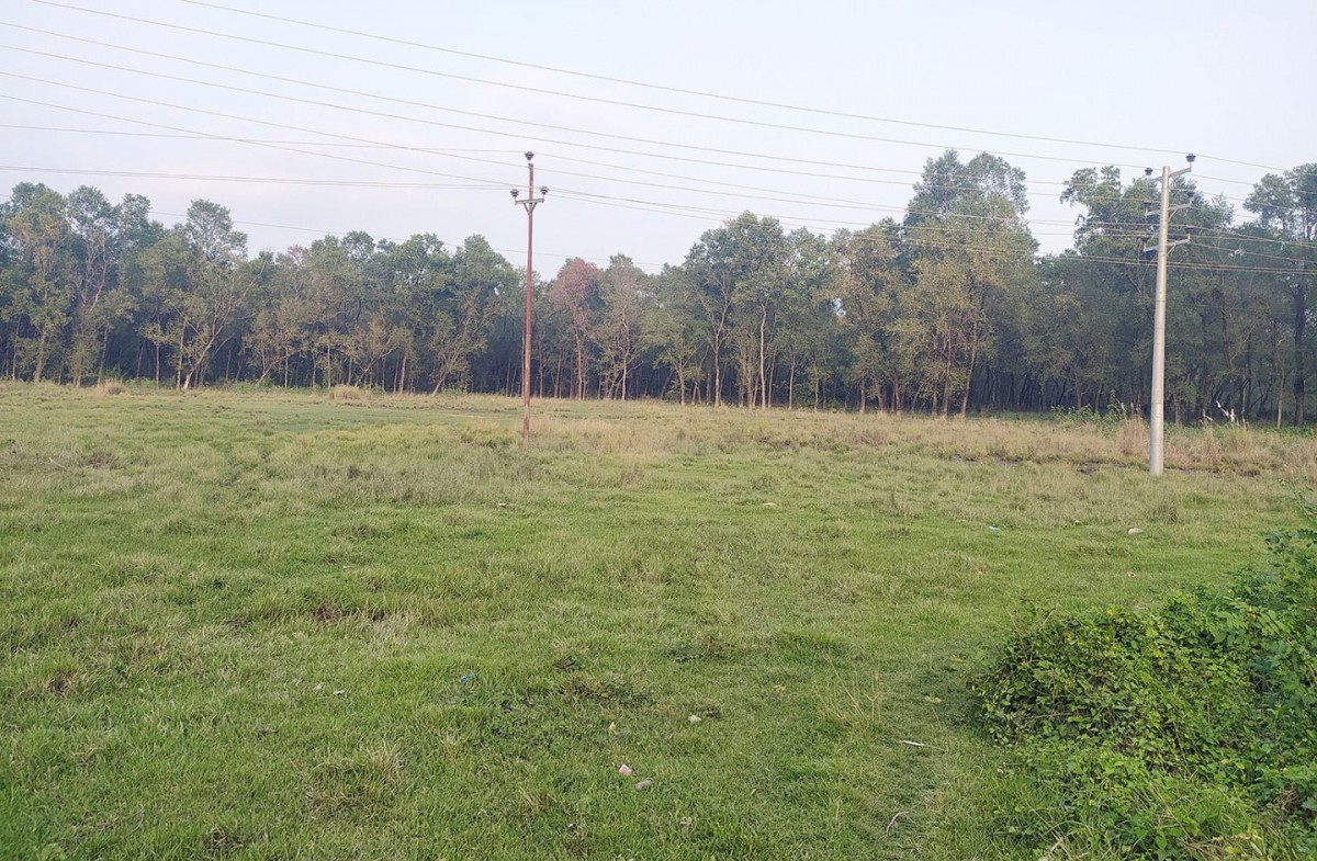 सरकारी मेडिकल कलेजका निर्माण साइट गौचरण बने, निजी मेडिकल कलेजलाई स्वीकृति