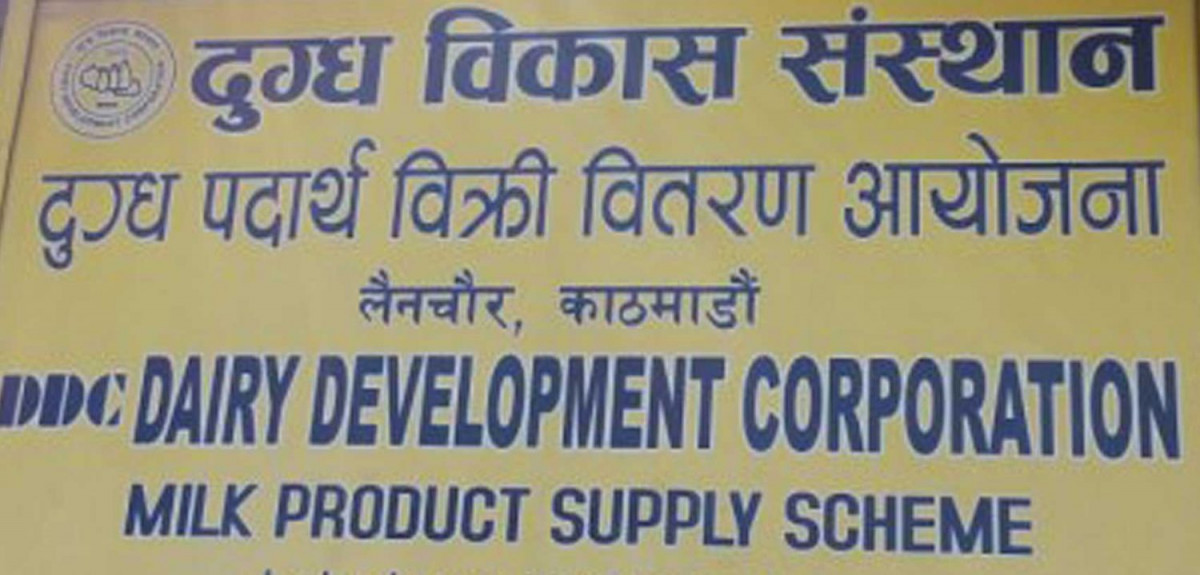 दूग्ध विकास संस्थानको महाप्रबन्धकमा दरखास्त खुल्याे