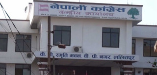 विमान दुर्घटनाप्रति कांग्रेसद्वारा दुःख व्यक्त