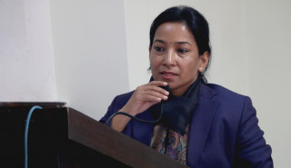 भरतपुरकी मेयर रेनु दाहाल चढेको गाडी दुर्घटना 