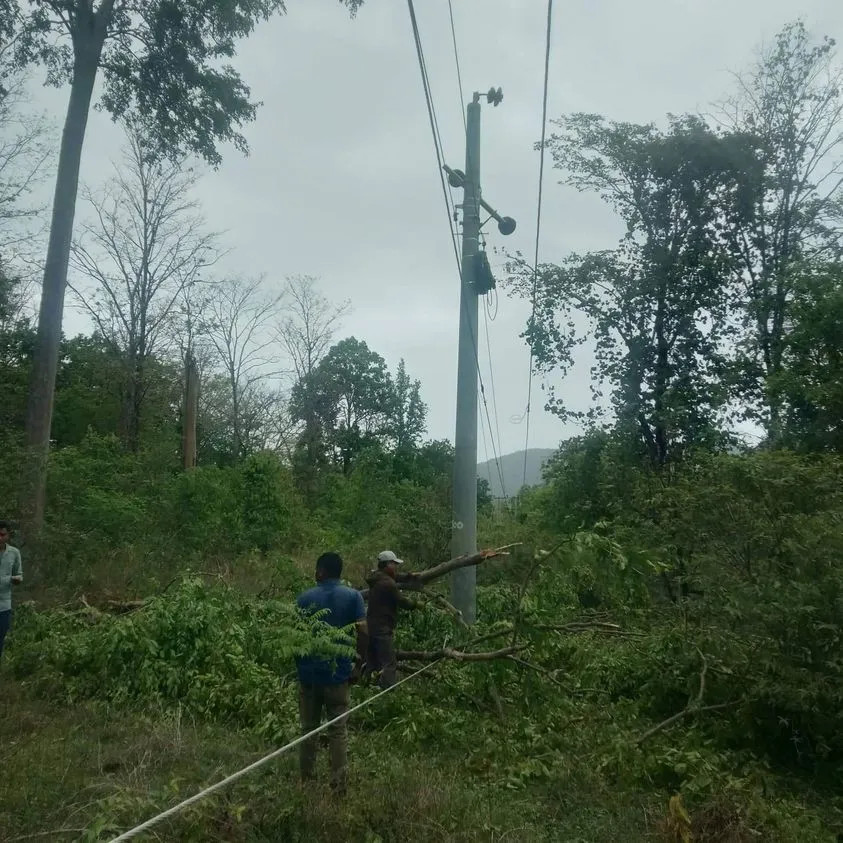 रुख ढल्दा कर्णालीमा विद्युत् सेवा अवरुद्ध