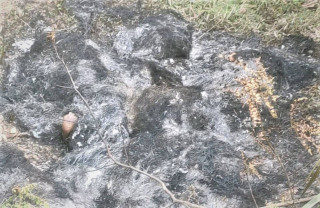 दार्चुलामा आगो लगाएर एकल महिलाको हत्या