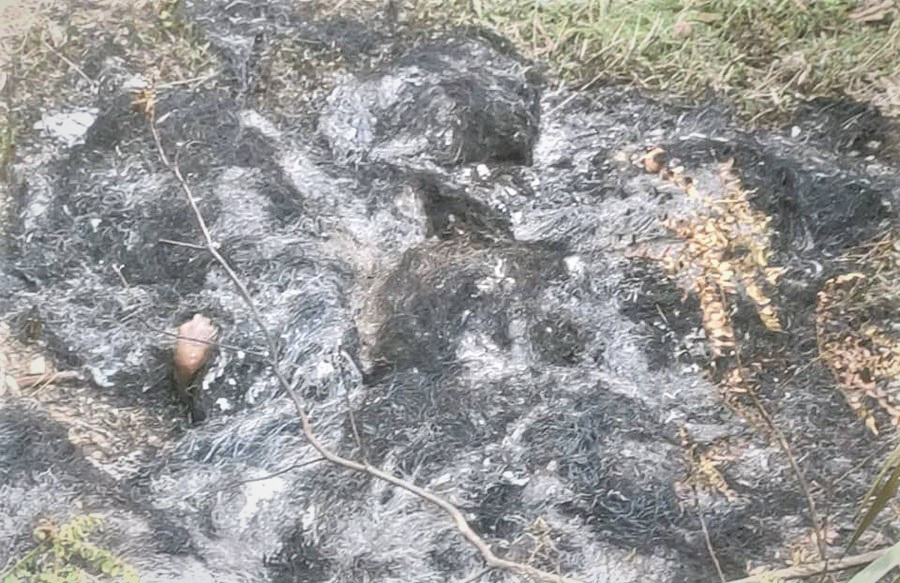 दार्चुलामा आगो लगाएर एकल महिलाको हत्या