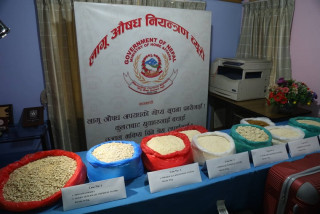 प्रहरीलाई ठूलो सफलता : १ अर्ब २ करोड मूल्य बराबरको लागू औषध बरामद