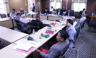 बिहे गर्ने उमेर घटाउने मन्त्रीको प्रस्तावमा सांसदहरुले जनाए आपत्ति 