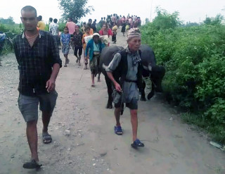 सप्तकोसीमा पानीको सतह घट्यो