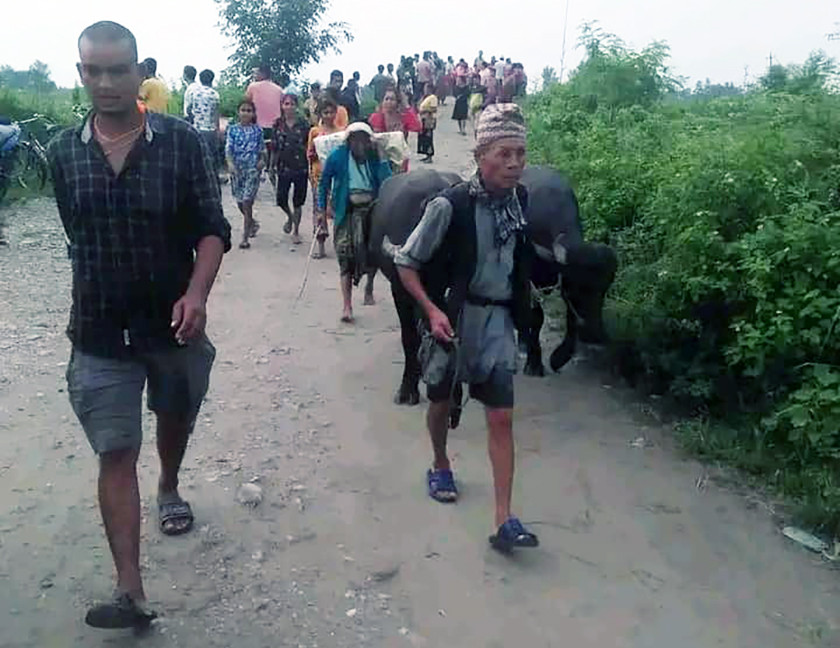 सप्तकोशी बाढी : ९ सय घरपरिवारलाई सुरक्षित स्थानमा सारियो