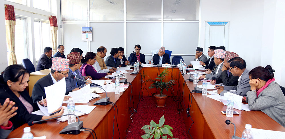 विधायन समितिको बहुमतबाट नागरिकता विधेयक हुबहु  पारित