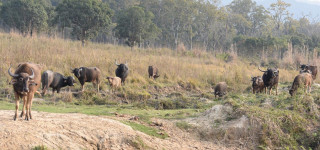 अर्ना सकिएसँगै डेढ करोड रकम व्यर्थ