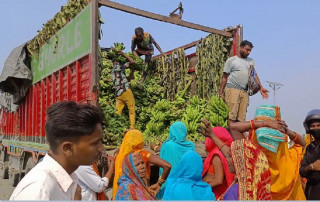 छठ पर्वका लागि जनकपुरधाममा मात्रै तीन करोडको केरा आयात