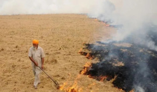 पञ्जाबमा पराल जलाउँदा  नेपालमा वायुप्रदुषण