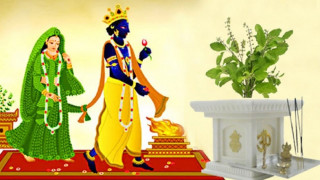 आज हरिबोधिनी एकादशी, तुलसीसँग विष्णुको विवाह गरी मनाइँदै