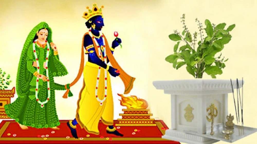आज हरिबोधिनी एकादशी, तुलसीसँग विष्णुको विवाह गरी मनाइँदै