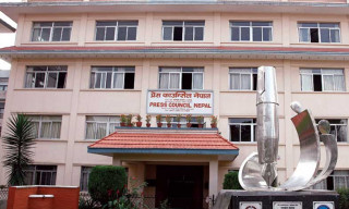 सञ्चारमाध्यमको मास्टहेड दुरुपयोगप्रति काउन्सिलको ध्यानाकर्षण