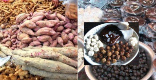 आज देशभर माघे सङ्क्रान्ति र माघी पर्व मनाइँदै