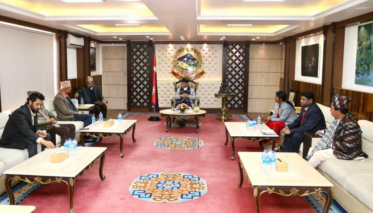 सबै विमानको प्राविधिक परीक्षण गर्न सरकारको निर्देशन