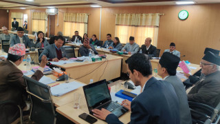 पुर्पक्षका लागि थुनामा गएका सांसद निलम्बन नहुने