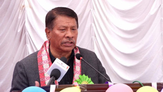 यसपटक कांग्रेसकै राष्ट्रपति बन्छ : प्रकाशमान सिंह