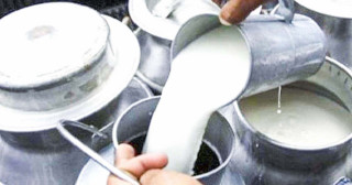 दूधको मूल्य प्रतिलिटर १० रुपैयाँ बढाउने तयारी 