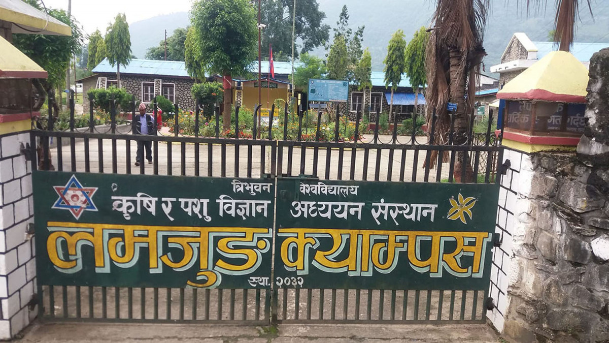 लम्जुङ कृषि क्याम्पसमा छात्राहरु माथी कुटपिट