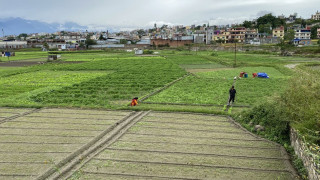 कृषि बीमाको अनुदान उपलब्ध गराउन ९५ करोड विनियोजन