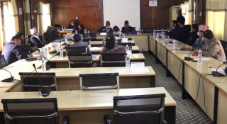 जिल्ला निर्वाचन कार्यालय खारेजको निर्णय पुनरावलोकन गर्न सरकारलाई निर्देशन