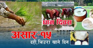 २० औँ राष्ट्रिय धान दिवस, देखावटी र फोटो खिचाउनेको होडबाजी, किसान अबस्था जहाँको तहिँ,अबस्था सुधारिएको सरकारको दाबी(खासखबर)