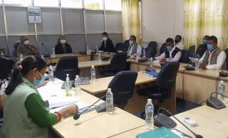 युवाहरूलाई देशभित्रै रोजगारीको व्यवस्था गर्न सांसदहरूको माग