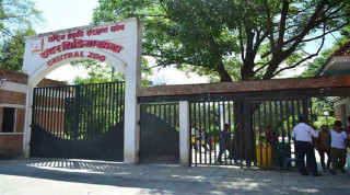 सदर चिडियाखाना जावलाखेलभित्र सटल बस चलाइने