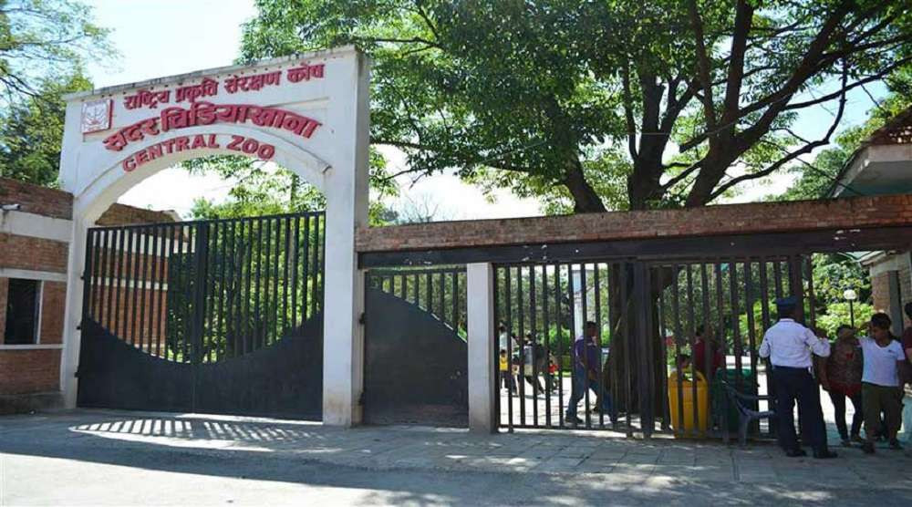 सदर चिडियाखाना जावलाखेलभित्र सटल बस चलाइने