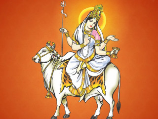 आज दशैंको आठौं दिन,  महागौरी देवीको पूजा–आराधना गरिँदै