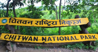 चाडपर्वका बेला चोरी सिकारी बढ्न सक्ने भन्दै चितवन राष्ट्रिय निकुञ्जको सुरक्षामा कडाइ