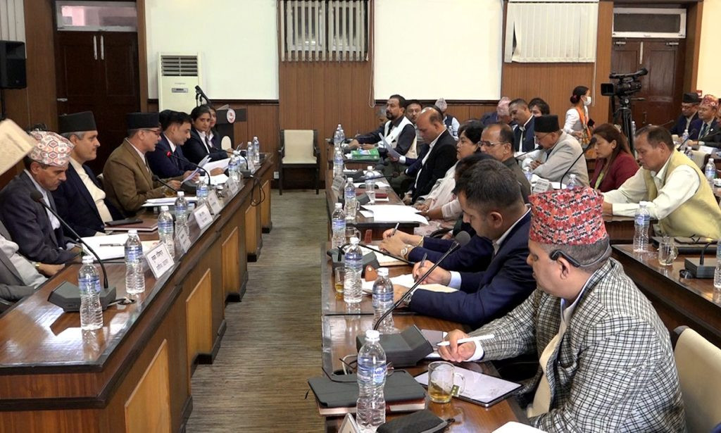 लेखा समितिको निर्देशन , “टेरामक्स कार्यान्वयन तत्काल रोक”