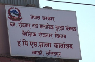 ईपीएस कोरिया शाखाको निर्देशकमा मैया कँडेल नियुक्त