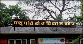 पशुपतिको आरती र दीप प्रज्वलनको कपीराइटसम्बन्धी सूचनामा कोषको आपत्ति