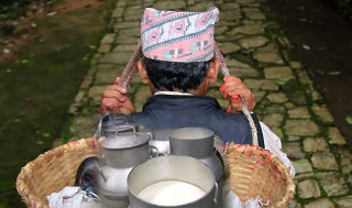 चितवनका दुग्ध किसानको आन्दोलन स्थगित