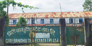 गिरिबन्धु टि स्टेटको जग्गा हत्याउने प्रपञ्च केही समयका लागि रोकियो, पूर्णपाठले थप बलियो बनाउने आशा(खासखबर)