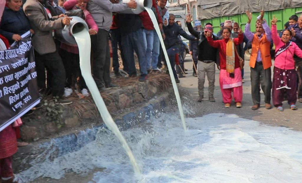 सडकमै दुध पोखेर चितवनका किसान आन्दोलनमा उत्रिए
