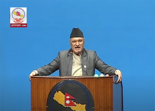 प्रतिनिधिसभामा संघीय निजामती सेवा विधेयक पेस