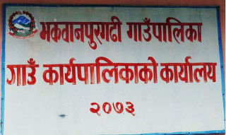 मकवानपुरगढी गाउँपालिकामा रैथाने बालीप्रति कृषकहरु आकर्षित, उत्पादन भन्दा माग बढी