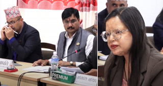 एसिड पीडितलाई एक महिनाभित्रै क्षतिपूर्ति दिन सरकारलाई निर्देशन