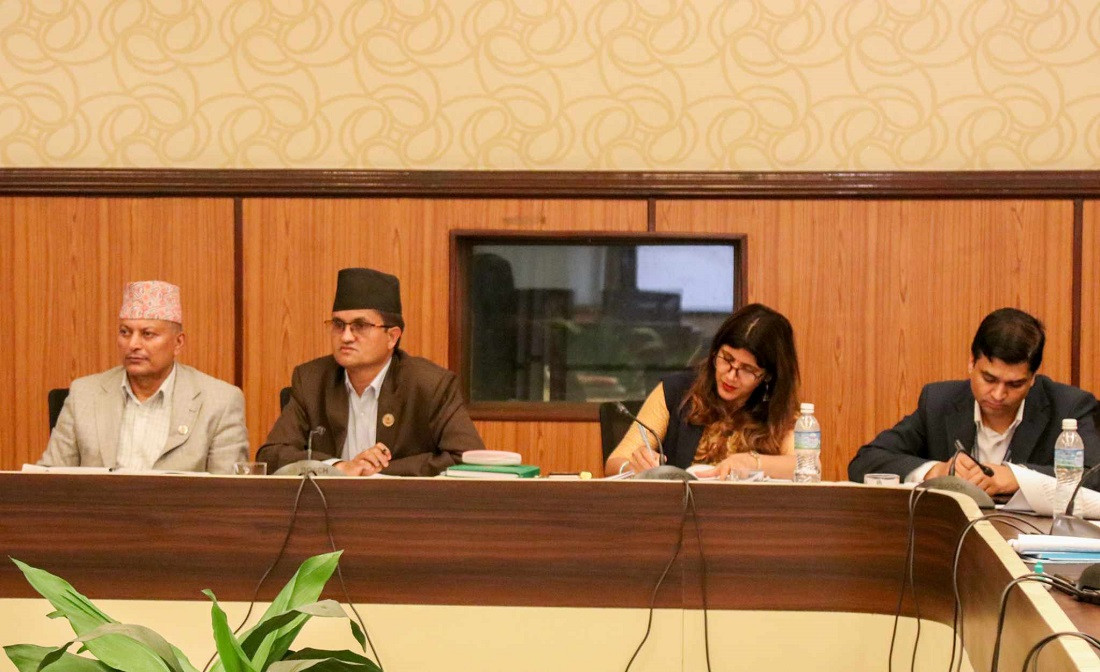 सहकारी प्रकरण : छानबिन समितिले झिकायो ९ वटा सहकारीका कागजात