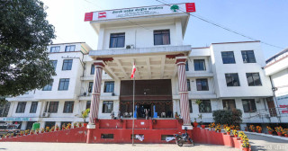 कांग्रेसमा ‘सयदिने विशेष अभियान’को समय थप
