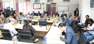 हवाई सुरक्षा सुधारबारे छानबिन समिति गठन गर्न संसदीय समितिको निर्देशन