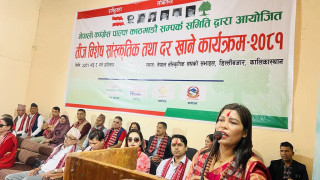 पाल्पा काठमाडौ सम्पर्क समितिको तीज कार्यक्रममा राज्यमन्त्रीलाई सम्मान
