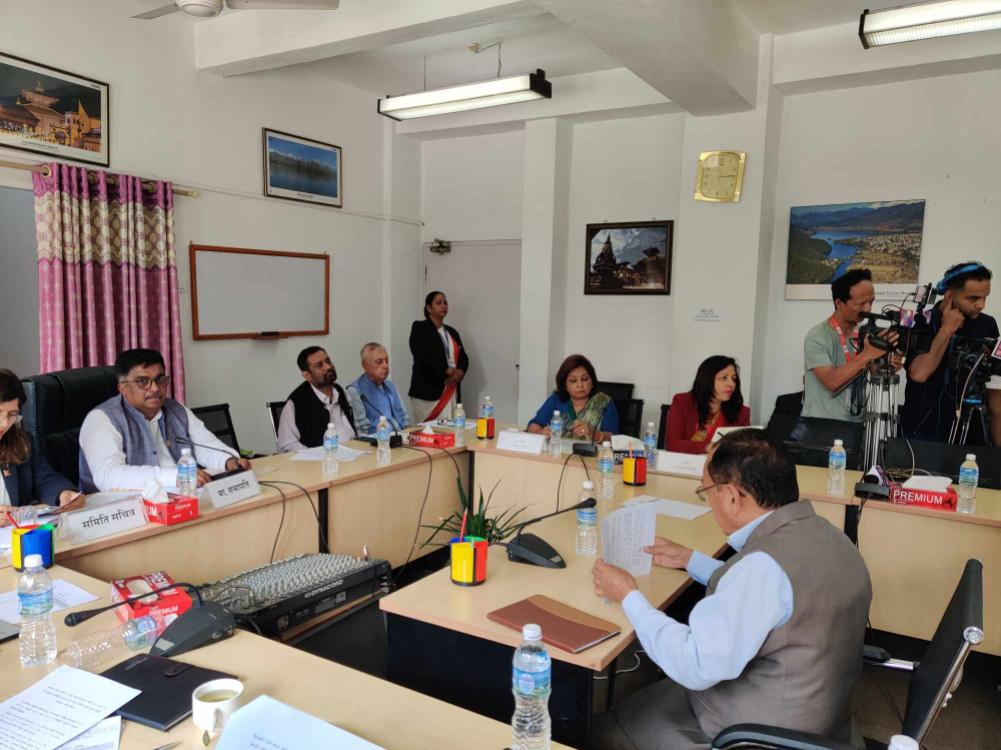 राजदूत सिफारिसमा समावेशिता ख्याल गर्न समितिको निर्देशन